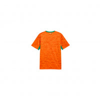 Maillot Domicile Côte d'Ivoire 2026